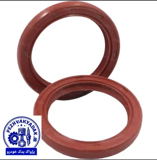 کاسه‌نمد میل‌سوپاپ فنردار