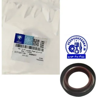 کاسه‌ نمد چپ هوزینگ دیفرانسیل  (40*58 -11.3)